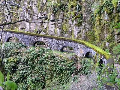 [The railing is made of large stone which has been fashioned into six arches. The top level of stone is completely moss-covered making it green while the rest is grey. The railing curves toward the camera. The hillside opposite the railing is so high the top can not be seen in the image.]